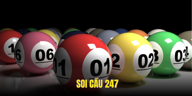 soi-cau-247